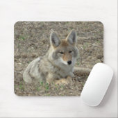 R22 Coyote Liggend Muismat (Met muis)