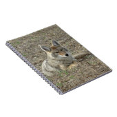 R22 Coyote Liggend Notitieboek (Rechterzijde)