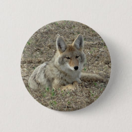 R22 Coyote Liggend Ronde Button 5,7 Cm