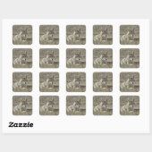 R22 Coyote Liggend Vierkante Sticker (Vel)