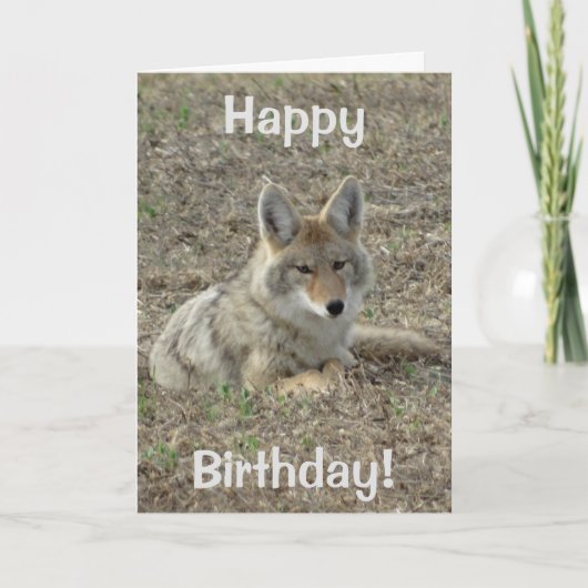 R22 het Leggen van de Coyote Kaart (Voorkant)