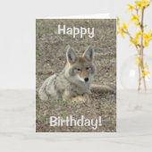 R22 het Leggen van de Coyote Kaart (Gele Bloem)