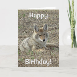 R22 het Leggen van de Coyote Kaart