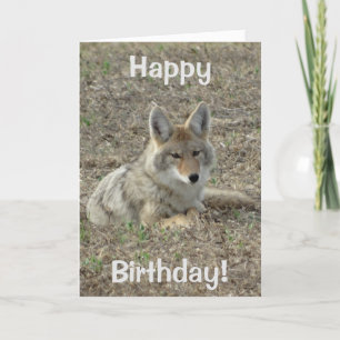 R22 het Leggen van de Coyote Kaart