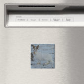R23 Sneeuwschoehaas Magneet (Insitu (Vaatwasser))