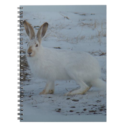 R23 Sneeuwschoehaas Notitieboek (Voorkant)