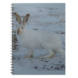 R23 Snowshoe Hare Notitieboek