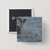 R23 Snowshoe Hare Vierkante Button 5,1 Cm (Voorkant /achterkant)