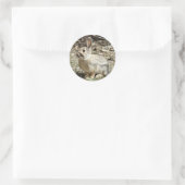 R24 Katoen-staartkonijn Ronde Sticker (Tas)