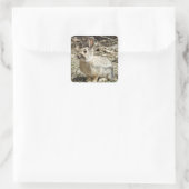 R24 Katoen-staartkonijn Vierkante Sticker (Tas)