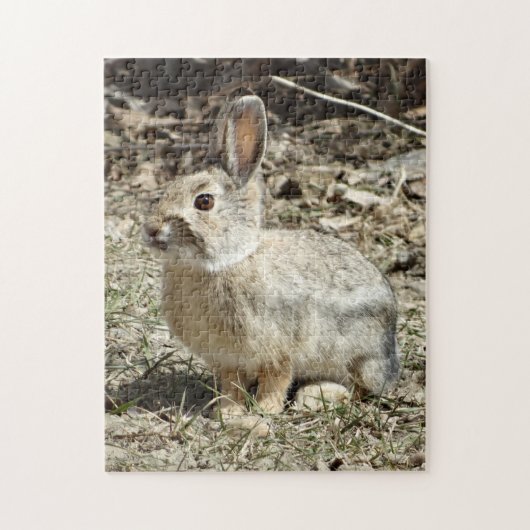 R24 Katoenstaartkonijn Legpuzzel (Verticaal)