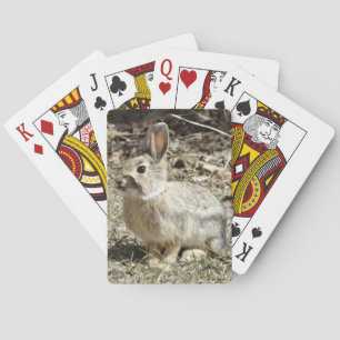 R24 Katoenstaartkonijn Pokerkaarten