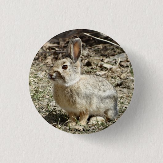 R24 Katoenstaartkonijn Ronde Button 3,2 Cm (Voorkant)