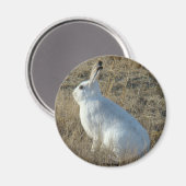 R25 Sneeuwschoehaas Magneet (Voorkant / Achterkant)