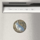 R25 Sneeuwschoehaas Magneet (Insitu (Vaatwasser))