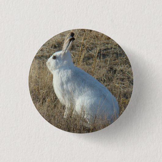 R25 Sneeuwschoehaas Ronde Button 3,2 Cm (Voorkant)