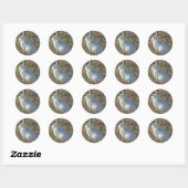 R25 Sneeuwschoehaas Ronde Sticker (Vel)