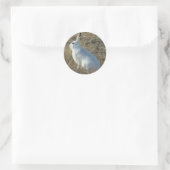 R25 Sneeuwschoehaas Ronde Sticker (Tas)
