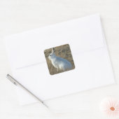 R25 Sneeuwschoenhare Vierkante Sticker (Envelop)