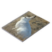 R25 Snowshoe Hare Notitieboek (Linkerzijde)