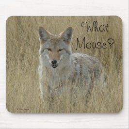 R2 Coyote in hoog gras Muismat