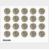 R2 Coyote in hoog gras Ronde Sticker (Vel)