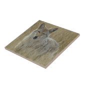 R2 Coyote in hoog gras Tegeltje (Zijkant)