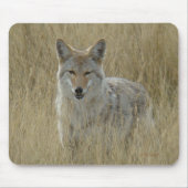 R2 Coyote in Tall Grass Muismat (Voorkant)