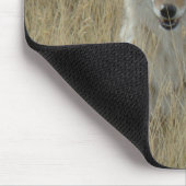 R2 Coyote in Tall Grass Muismat (Hoek)