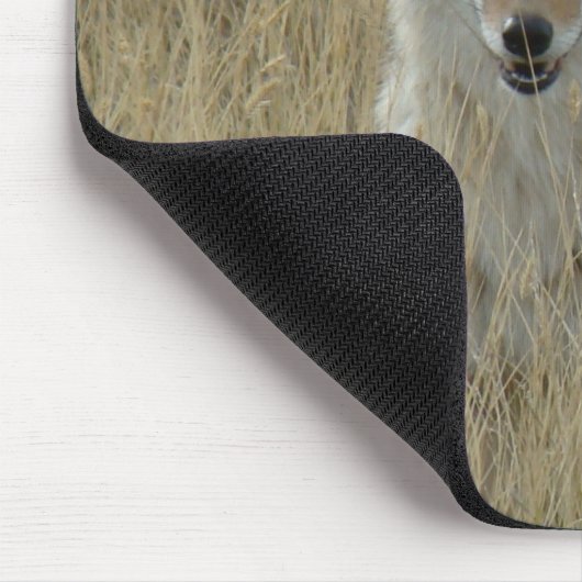 R2 Coyote in Tall Grass Muismat (Hoek)