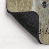 R2 Coyote in Tall Grass Muismat (Hoek)