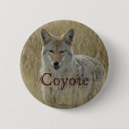 R2 Coyote in Tall Grass Ronde Button 5,7 Cm