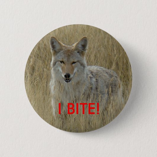 R2 Coyote in Tall Grass Ronde Button 5,7 Cm (Voorkant)