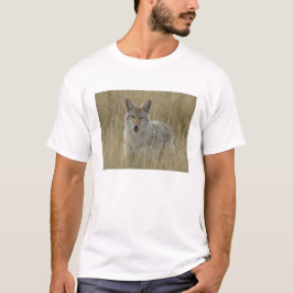 R2 Coyote in Tall Grass T-shirt