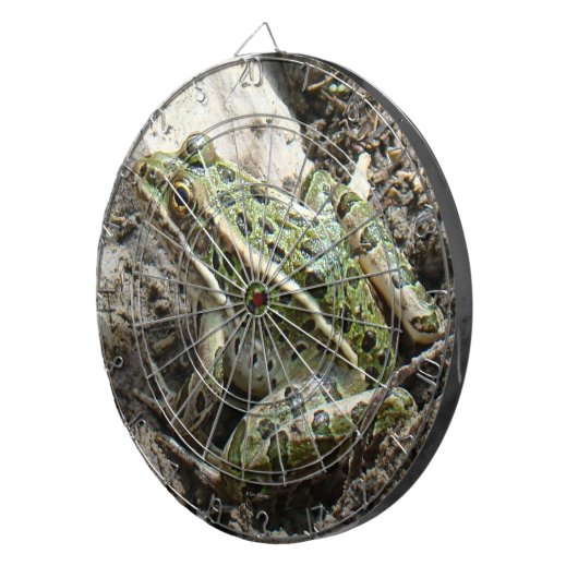 R3 Kikker van luipaard Dartbord (Voorkant Rechts)