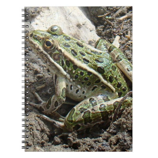 R3 Kikker van luipaard Notitieboek (Voorkant)