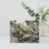 R3 Luipaardkikker Briefkaart (Staand voorkant)