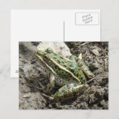 R3 Luipaardkikker Briefkaart (Voorkant / Achterkant)