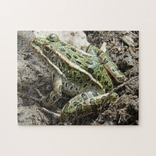 R3 Luipaardkikker Legpuzzel (Horizontaal)