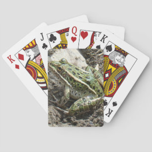 R3 Luipaardkikker Pokerkaarten