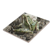 R3 Luipaardkikker Tegeltje (Zijkant)