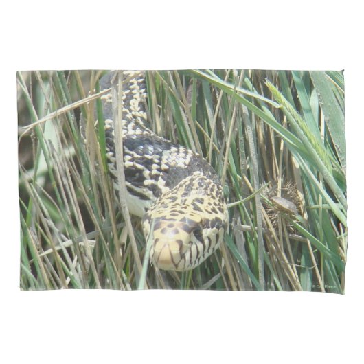 R4 Bull Snake in Grass Kussensloop (Voorkant)