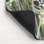 R4 Bull Snake in Grass Muismat (Hoek)