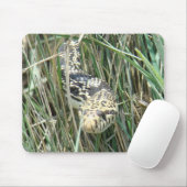 R4 Bull Snake in Grass Muismat (Met muis)