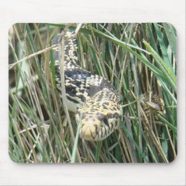 R4 Bull Snake in Grass Muismat