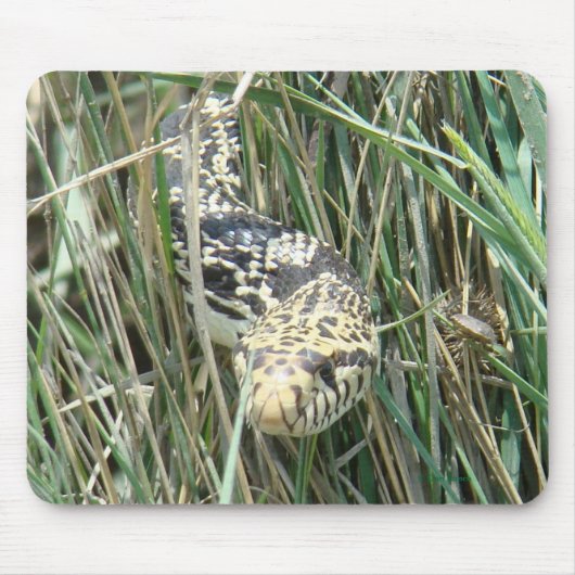 R4 Bull Snake in Grass Muismat (Voorkant)