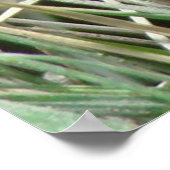 R4 Bull Snake in Grass Poster (Hoek)