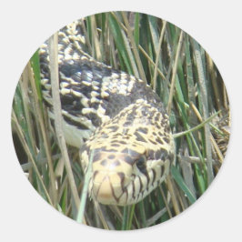 R4 Bull Snake in Grass Ronde Sticker