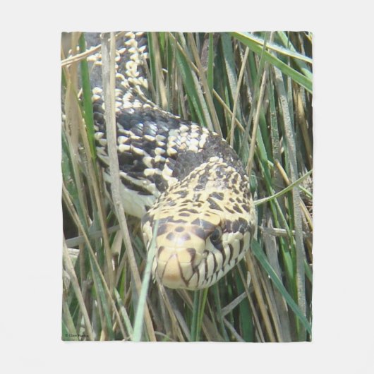 R4 Bull Snake in het gras Fleece Deken (Voorkant)
