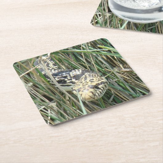 R4 Bull Snake in het gras Kartonnen Onderzetters (Schuin)